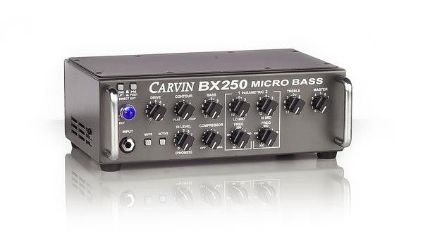 BX250 Portable Bass Amp Solution