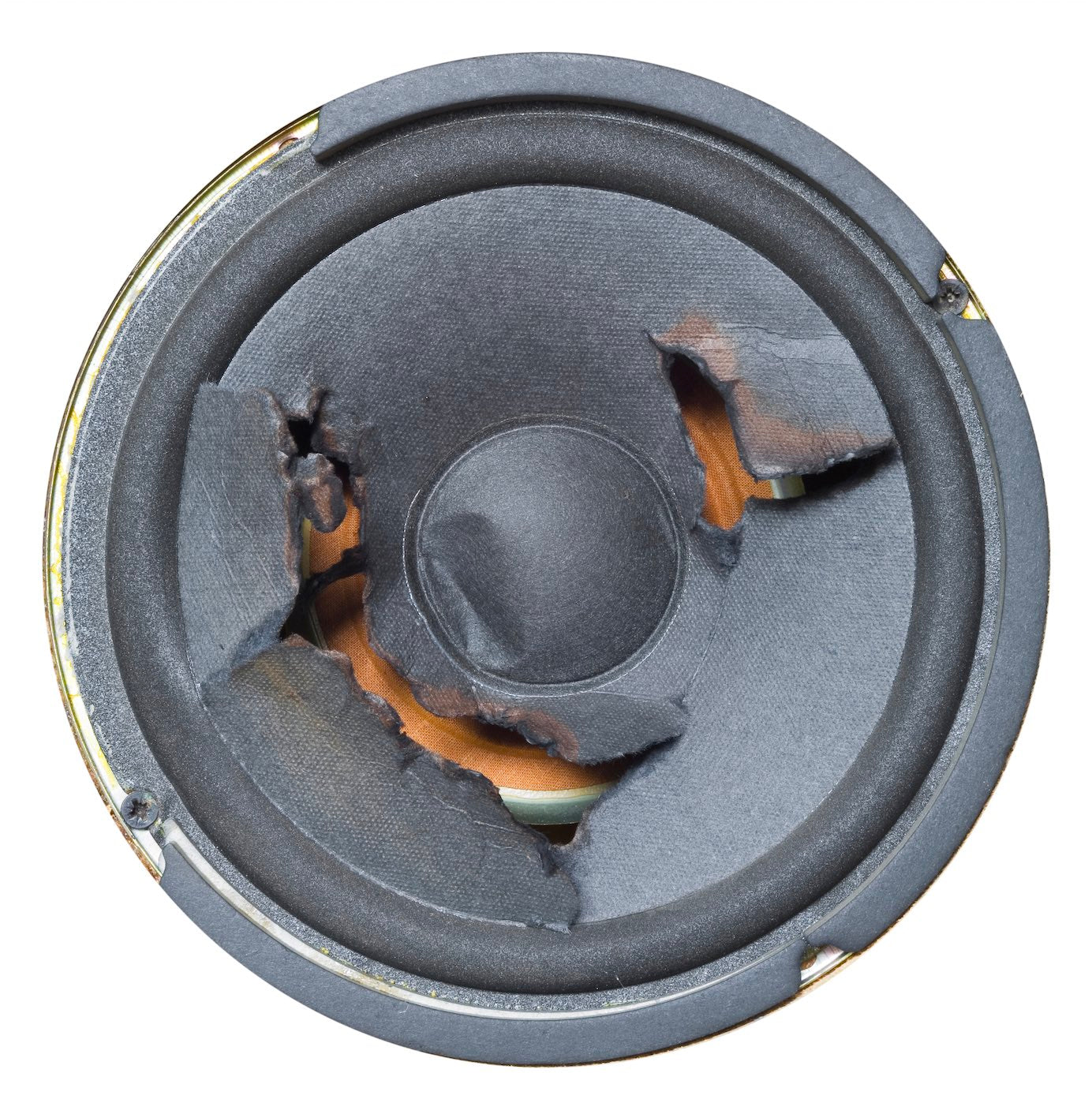 Blown Speaker How to Know if You Should Recone or Replace it