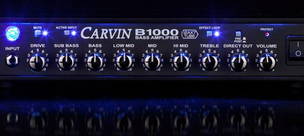 Rig for 5 String Bass