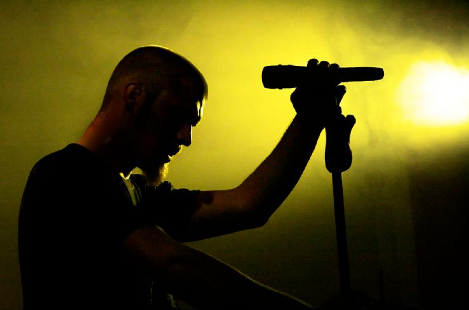 What is the Difference Between a Vocal and Instrument Mic? And Can You Use One in Place of the Other?