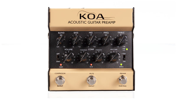 ギター CE Preamp TA.effects CE Preamp TA.effects ce-1 クローン - メルカリ