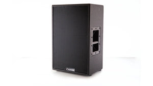 1000W 12-inch active loudspeaker